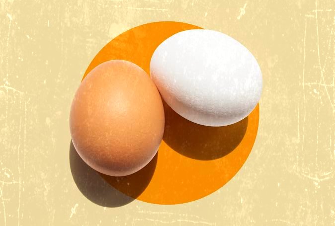 brown vs white egg