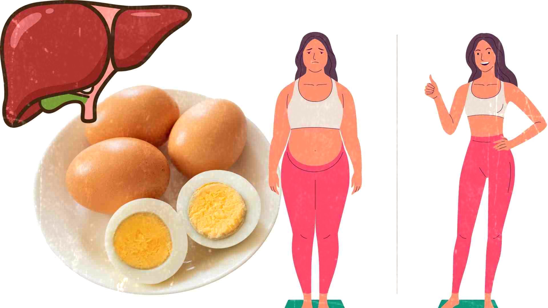 how to loose belly fat